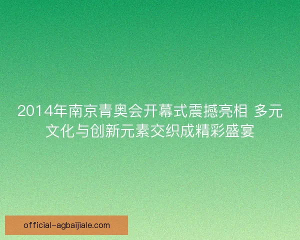 2014年南京青奥会开幕式震撼亮相 多元文化与创新元素交织成精彩盛宴
